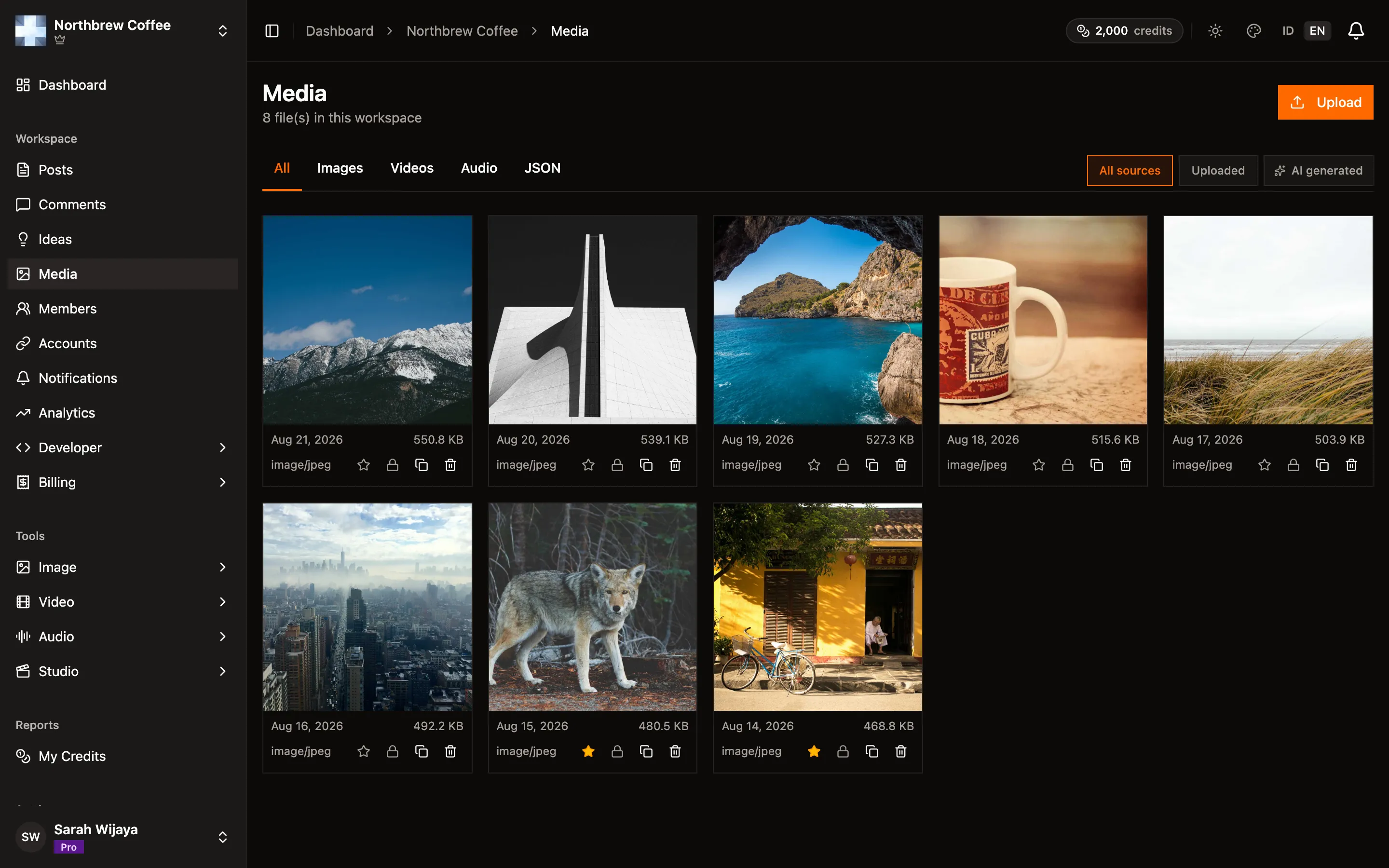 The workspace media library, a grid of images with type tabs, source filters, and per-file actions.