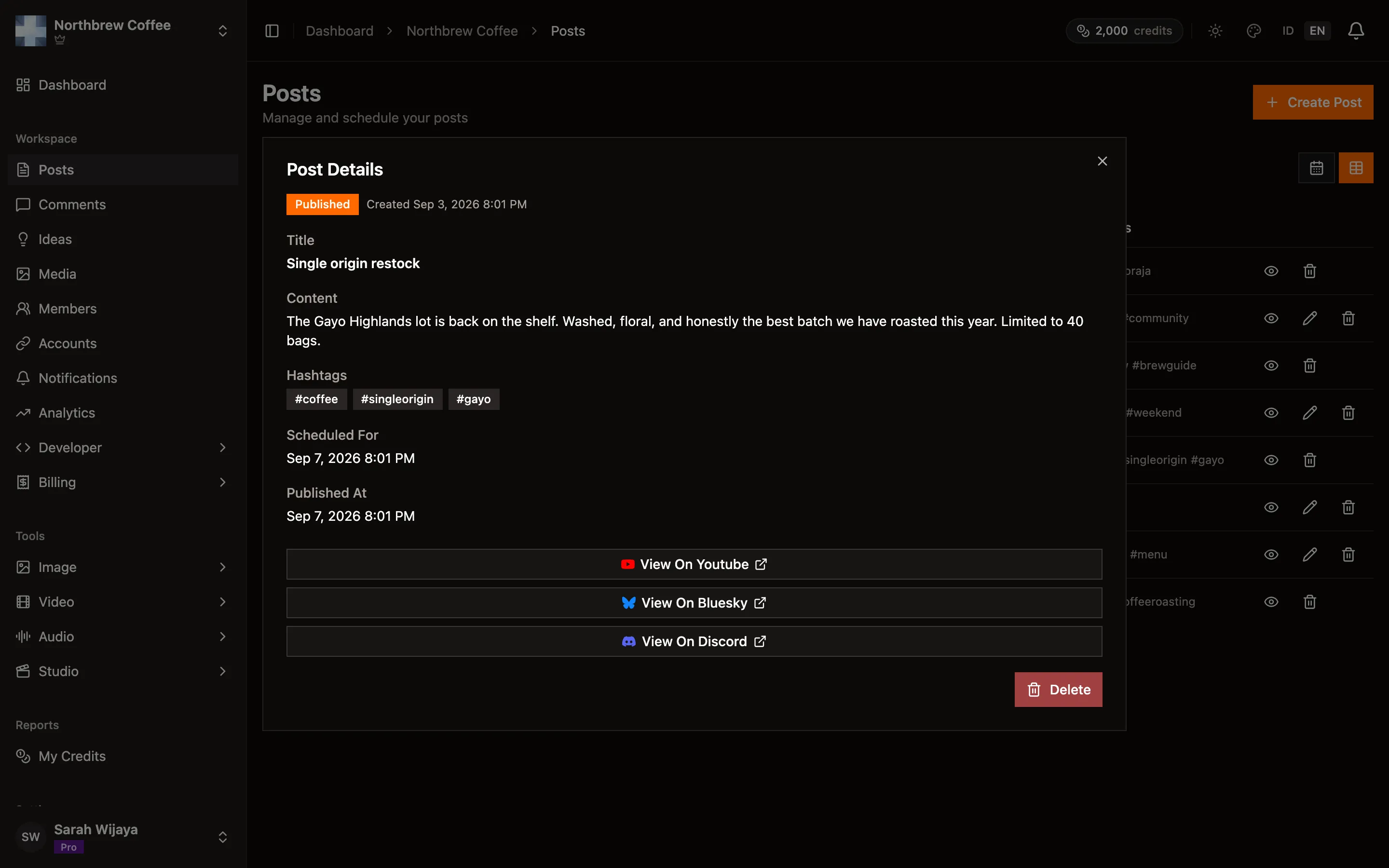 A published post's details, showing its status, caption, hashtags and per-platform view links.