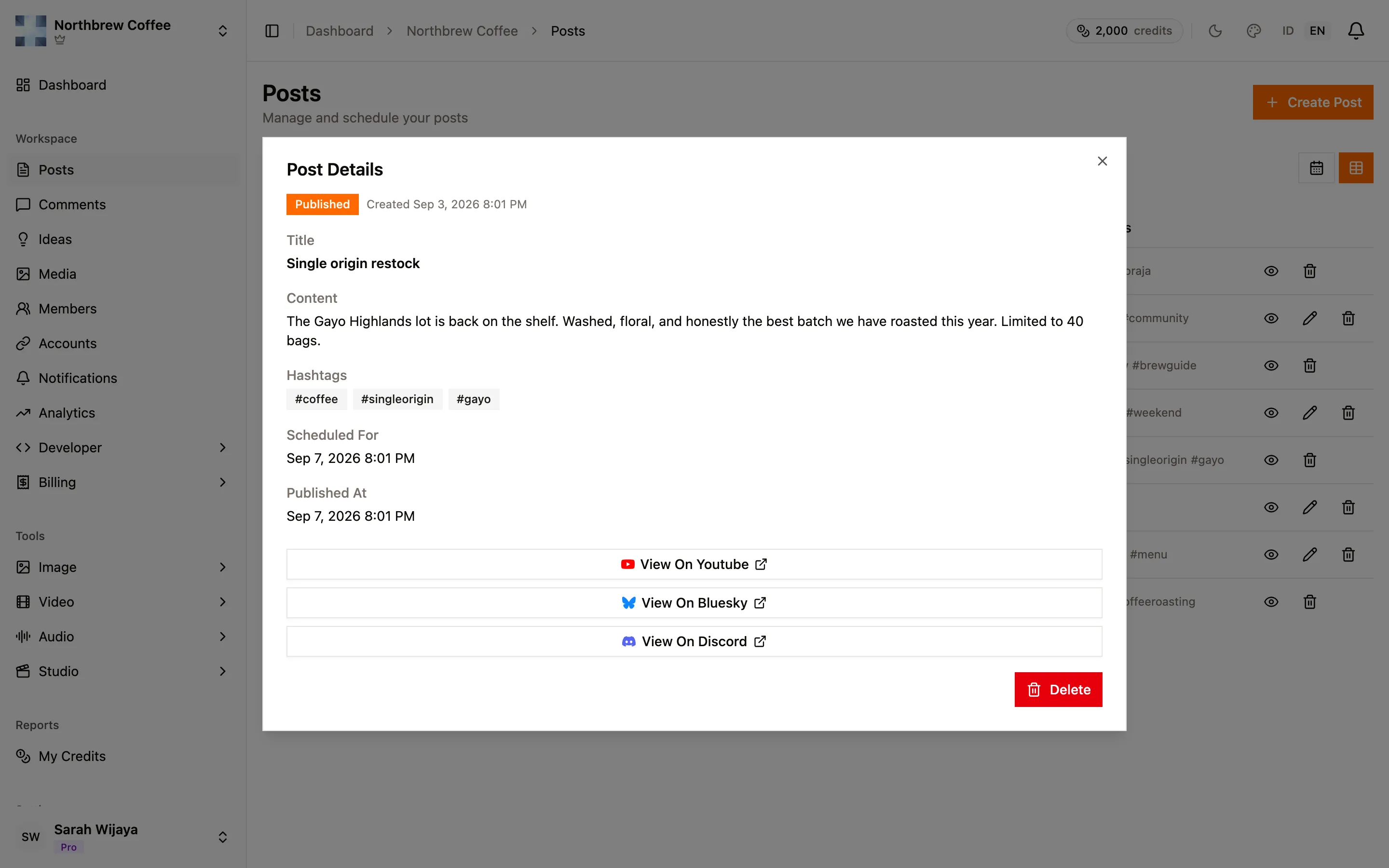 A published post's details, showing its status, caption, hashtags and per-platform view links.