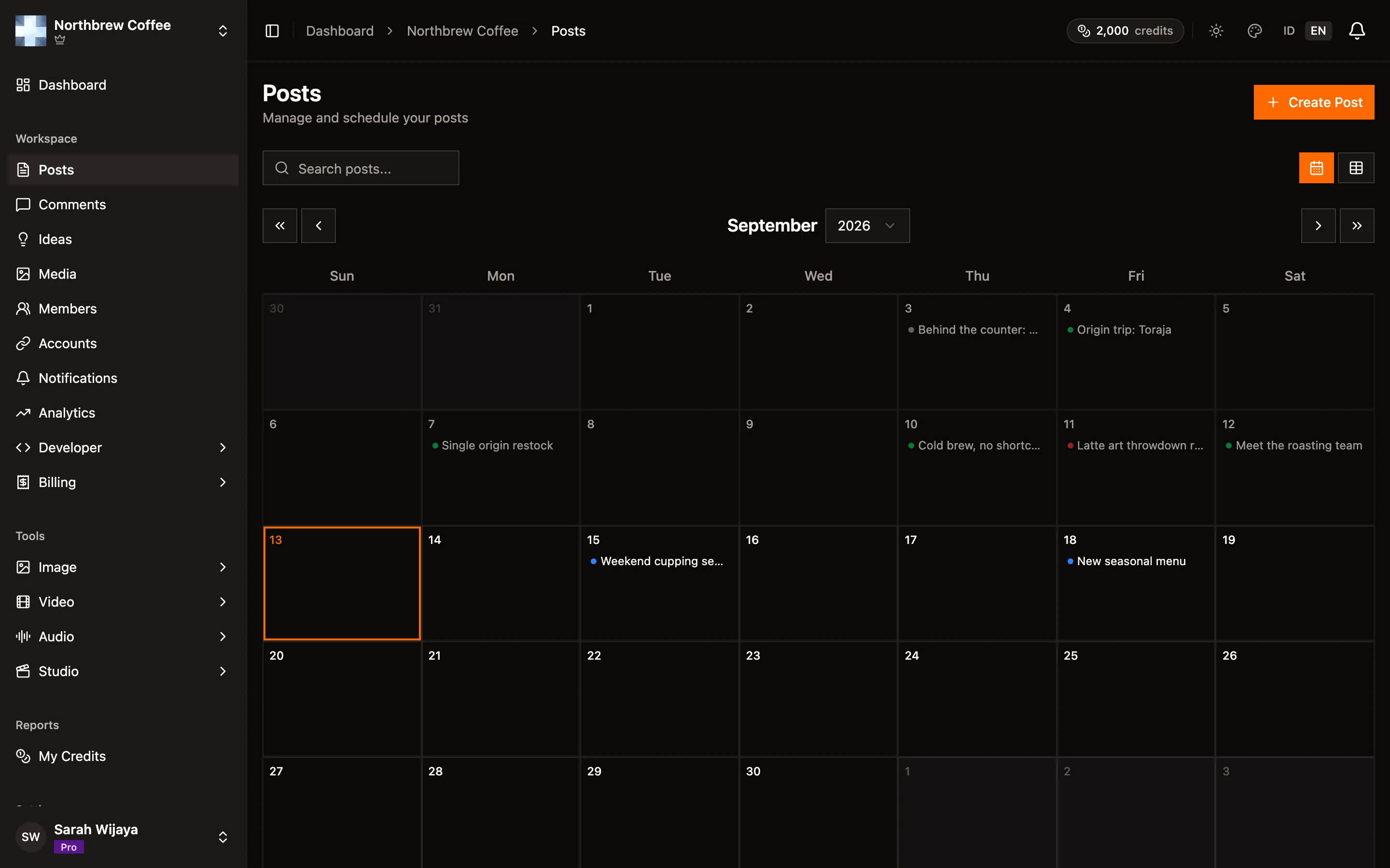 Daftar post menampilkan post terbit, terjadwal, gagal, dan draft.