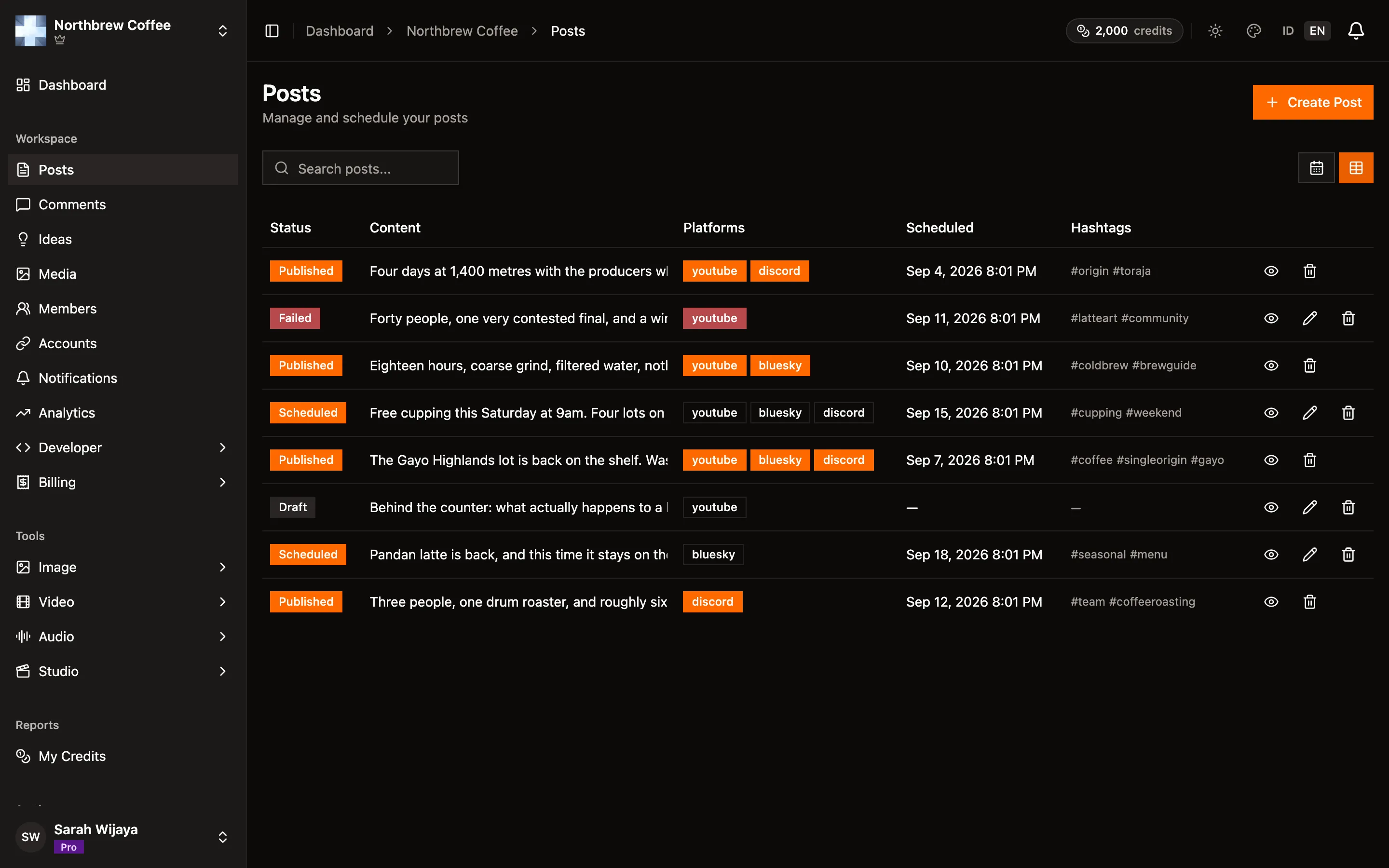 The Posts table view, with status, content, platforms, scheduled time and hashtag columns.