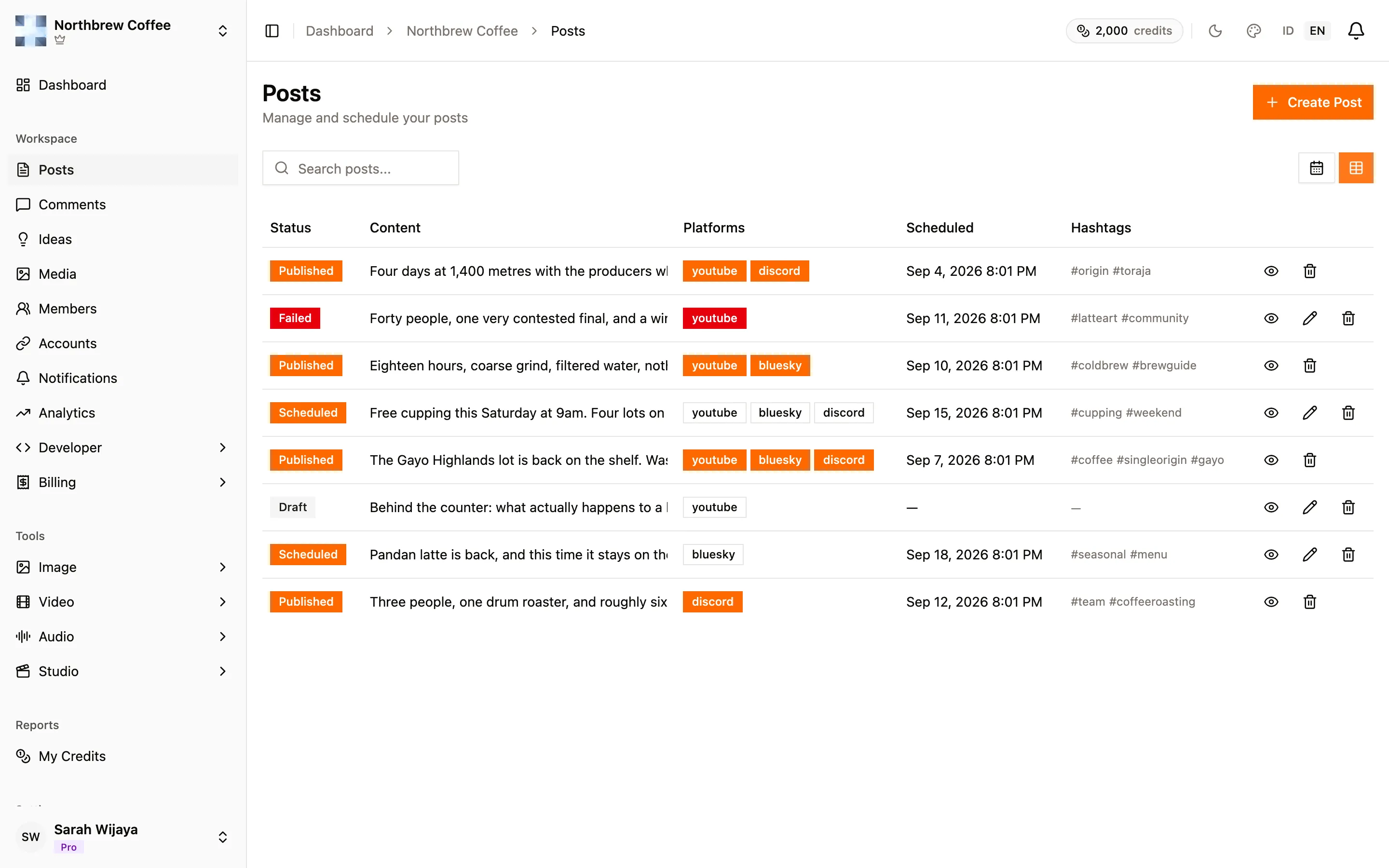 The Posts table view, with status, content, platforms, scheduled time and hashtag columns.